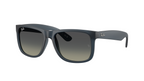 6813/11 — Bleu