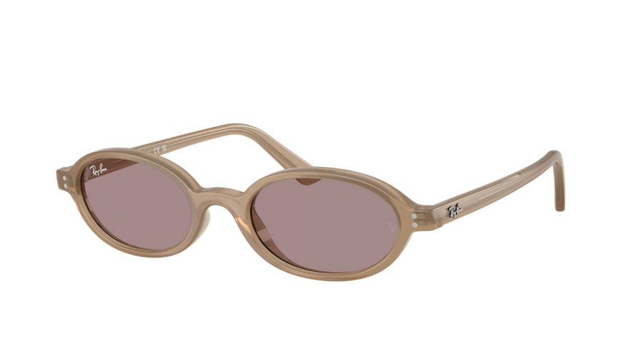 6891LA — Brun