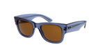 6680/73 — Bleu
