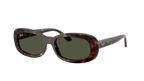 902/31 — Écaille