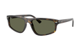 710/58 — Écaille
