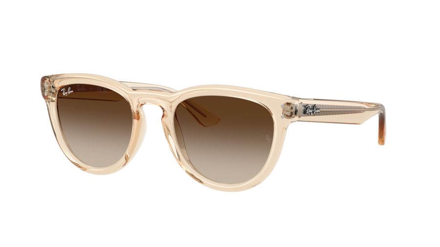 690213 — Transparent