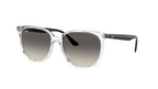647711 — Transparent