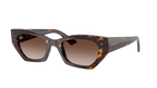 135913 — Écaille